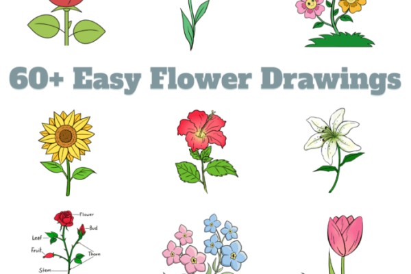 Easy flowers to plant