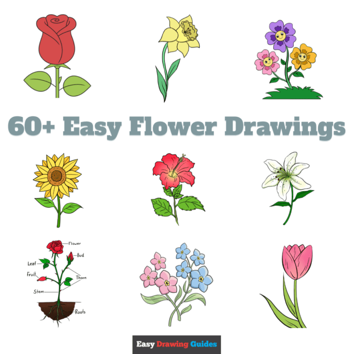 Easy flowers to plant